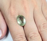 Желто-зеленый берилл 6,59 карата