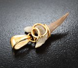 Золотой кулон с ископаемым зубом акулы Jaekelotodus 2,6 карата