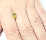 Зеленовато-желтый сфен 1,53 карата 