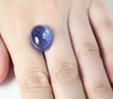Крупный насыщенный танзанит 16,92 карата 