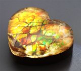 Аммолит 8,78 карата