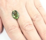 Яркий желтовато-зеленый турмалин 3,78 карата 